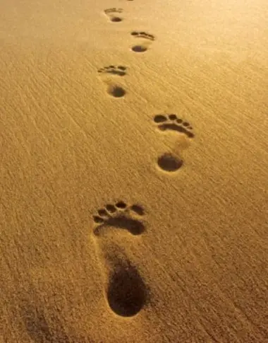 footprint in sand